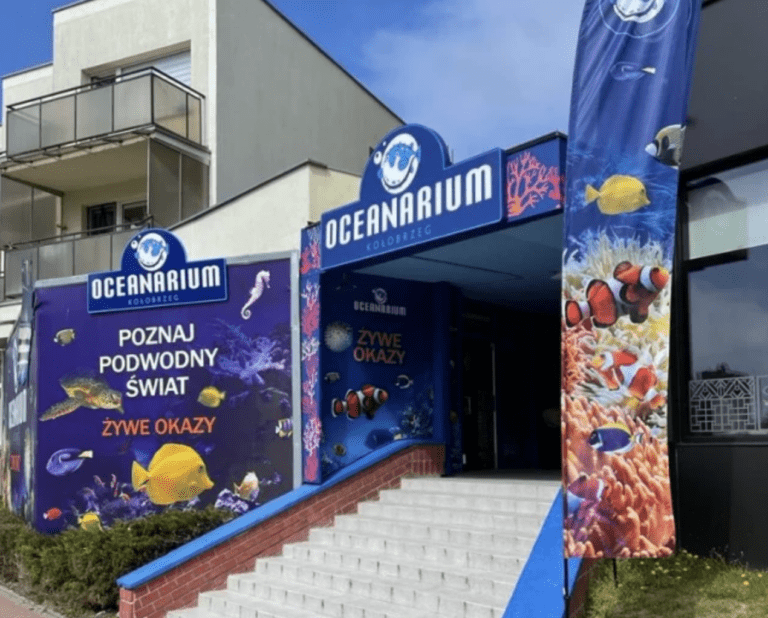 Oceanarium Kołobrzeg – Poznaj podwodny świat!